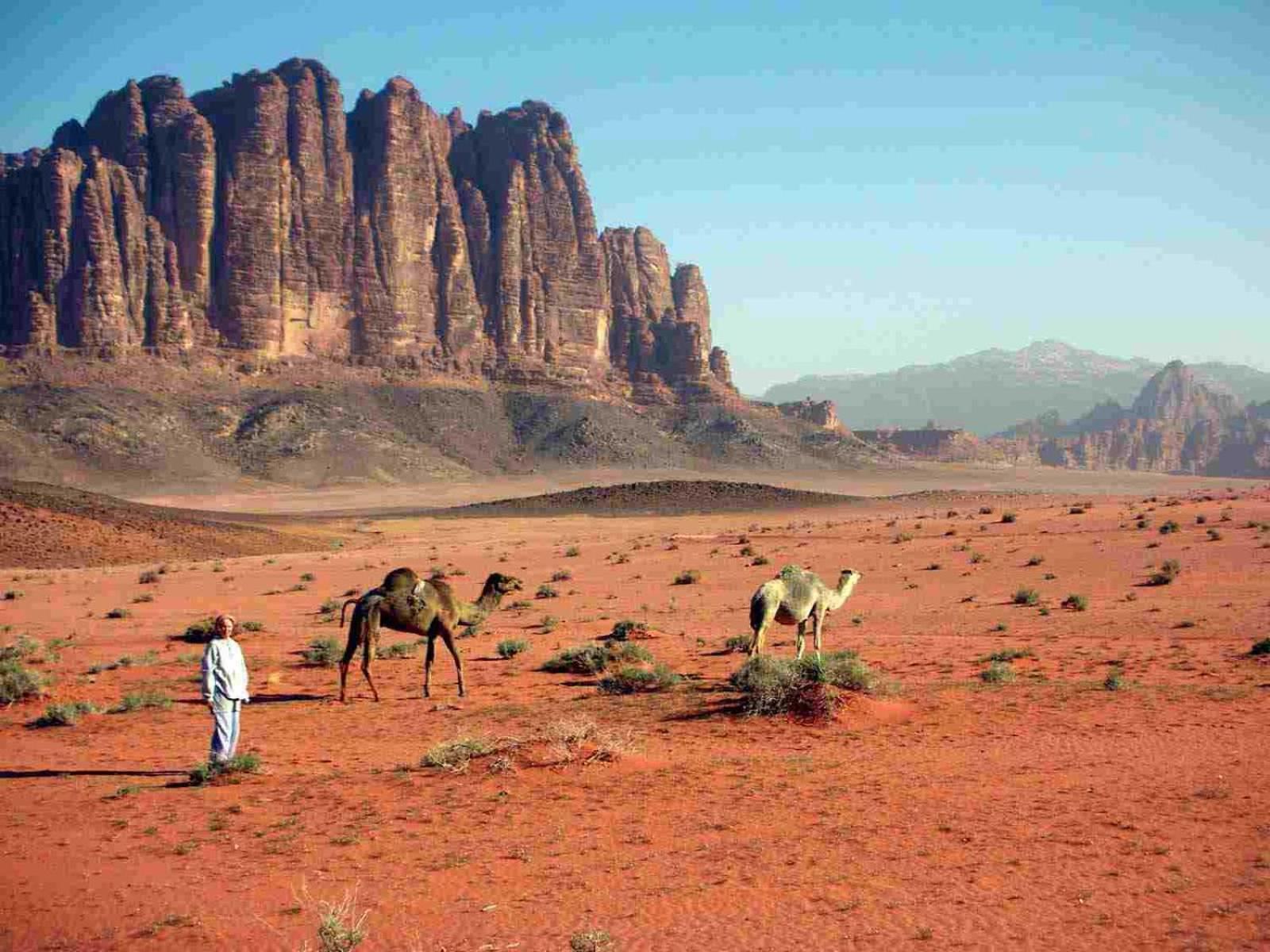 Wadi Rum Mundo Camp 아카바 외부 사진